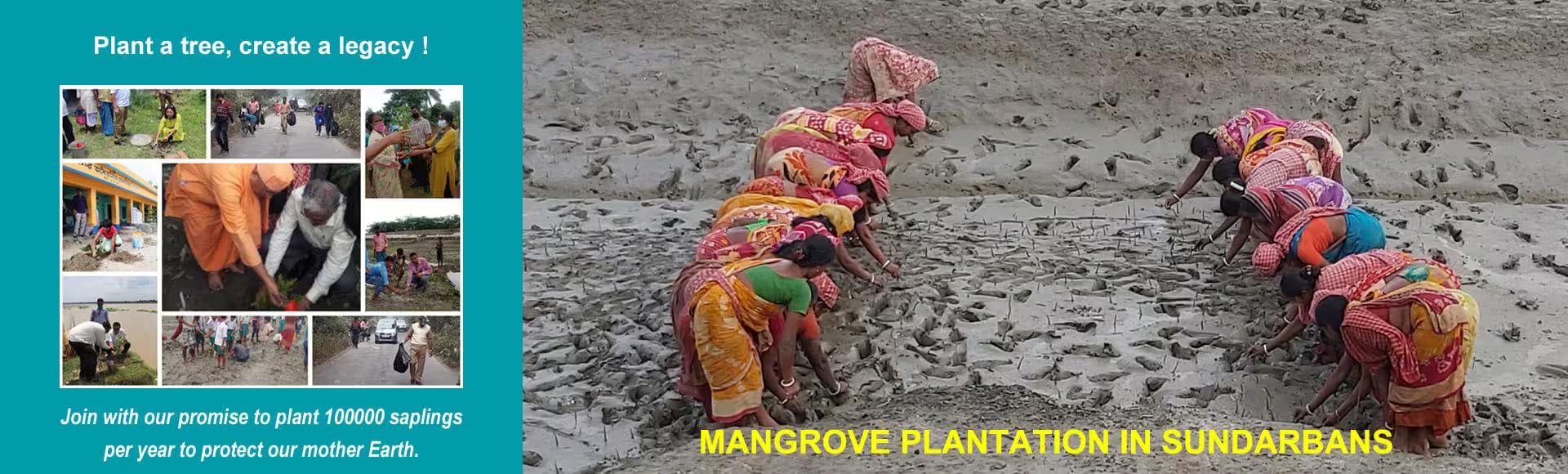 Sustainability Initiatives Banner